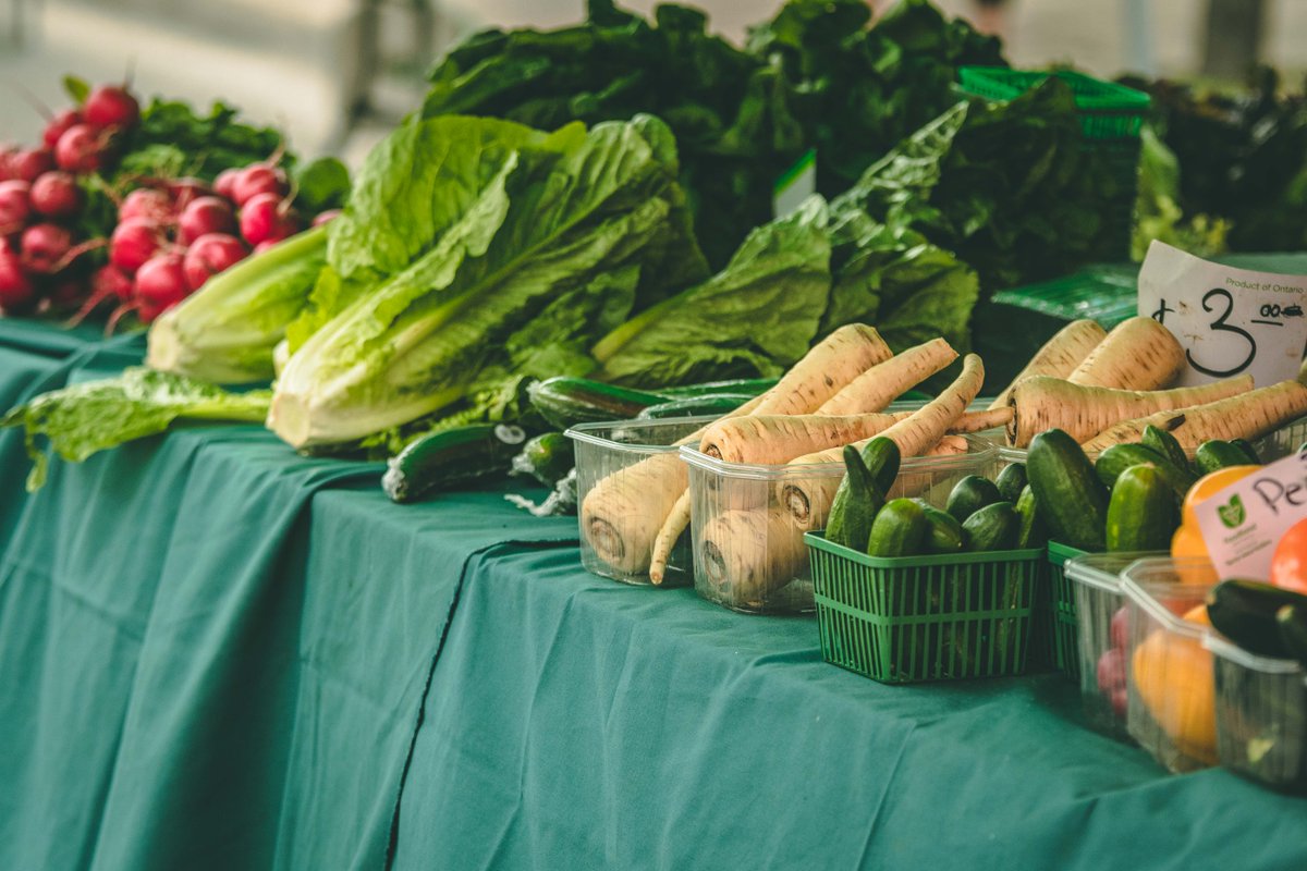 CityBrampton's tweet photo. Tonight! Pick up produce, baked goods and more at the Mount Pleasant Village Night Market every Thursday night from 4-8 pm in Mount Pleasant Village. It's all part of Market season in Brampton. Details: https://t.co/LIFszjYJpi https://t.co/4HiSTBnVdO