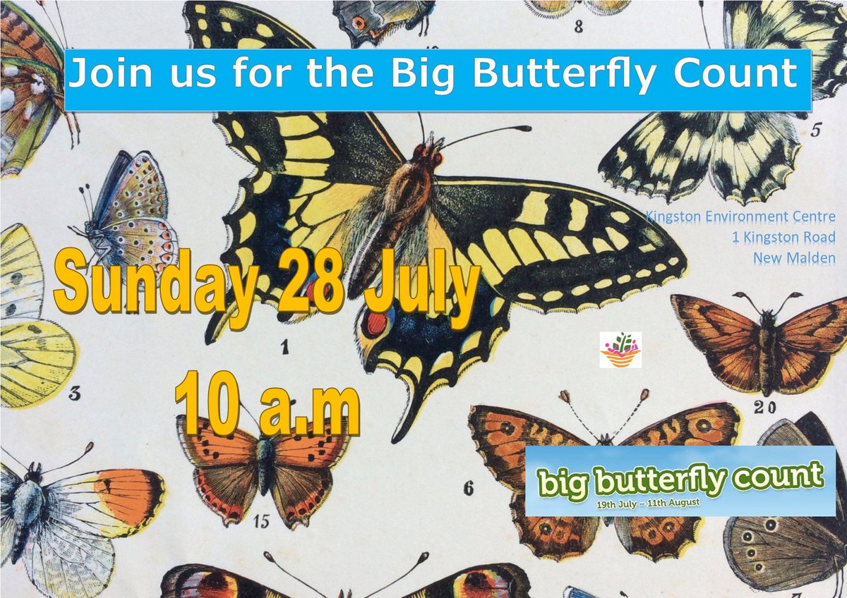 It will be starting at 10 am (not 11am) at Kingston Environment Centre.  Afterwards we can go on the bus to spot more butterflies at Kingston Cemetery.