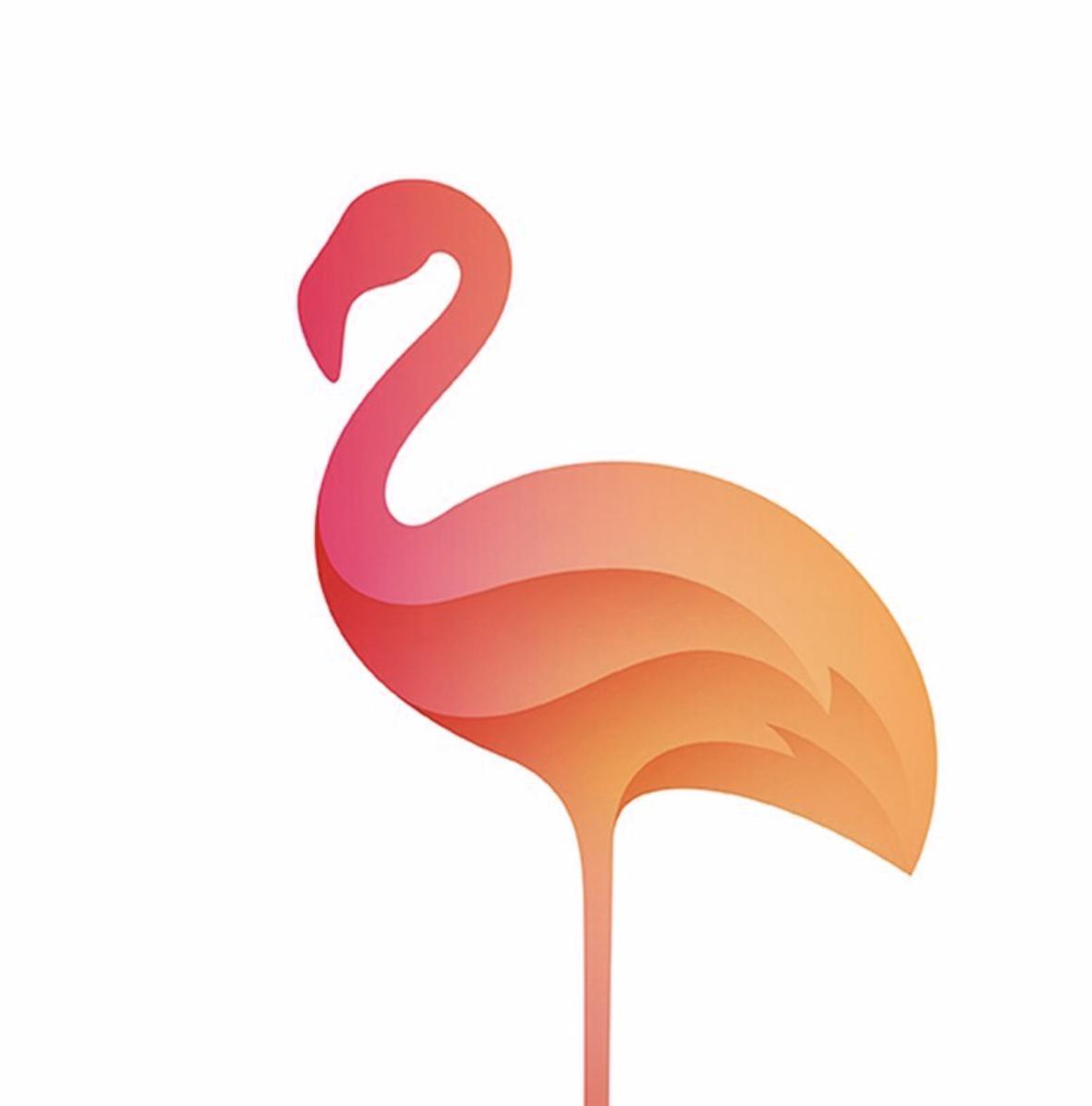 Joss Spinks tweet media