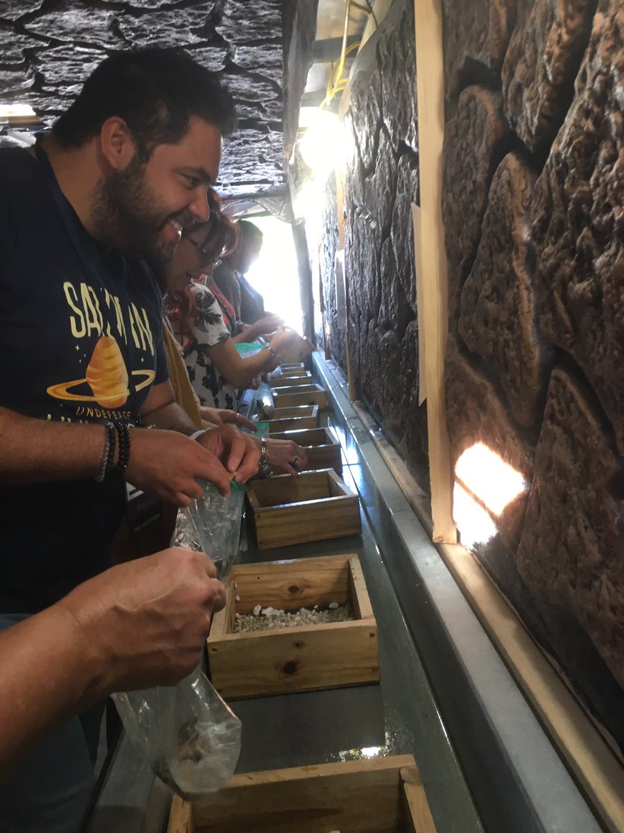 #flstemposium2019
Florida elementary teachers getting their STEM on!