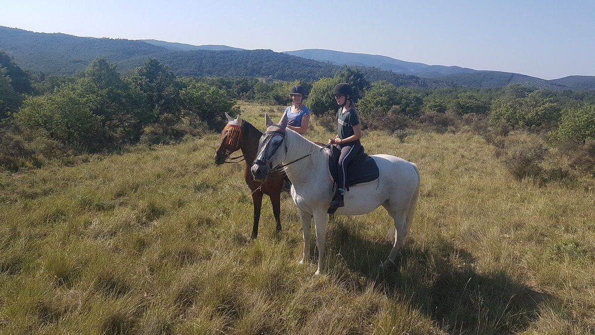 Balades en pleine nature, au lever ou au coucher du soleil.