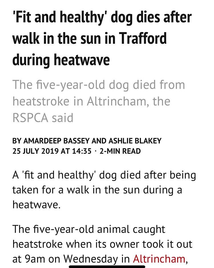 Livindeadgirl00's tweet photo. Don’t take your fucking dogs out in this heat - at any time of the day !!!!!! Let alone have them or leave them in a vehicle !!! 🤬 #dogshateheat #crueltytodogs #dogspadsburntoo sick of seeing these stories of absolute idiotic cruelty ! #makesmybloodboil https://t.co/tVVAE5Rm5w