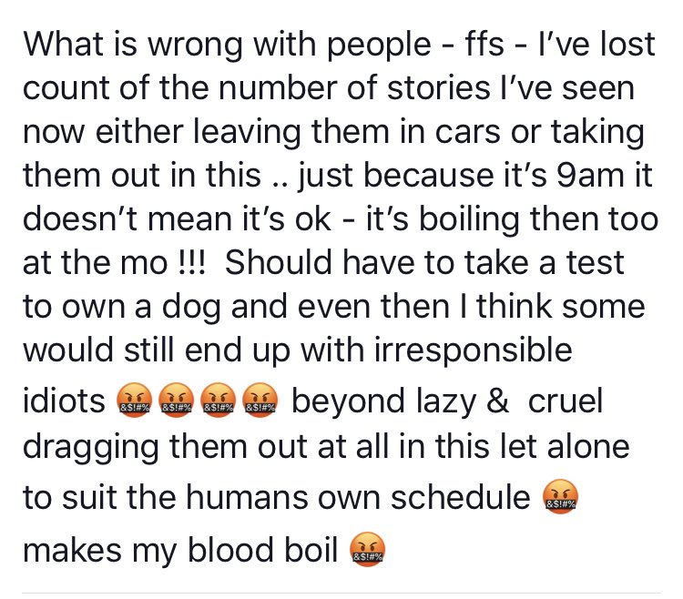 Livindeadgirl00's tweet photo. Don’t take your fucking dogs out in this heat - at any time of the day !!!!!! Let alone have them or leave them in a vehicle !!! 🤬 #dogshateheat #crueltytodogs #dogspadsburntoo sick of seeing these stories of absolute idiotic cruelty ! #makesmybloodboil https://t.co/tVVAE5Rm5w