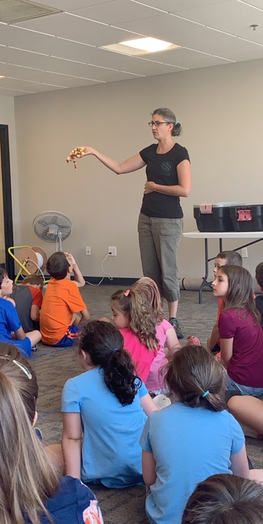 LPS_Summer's tweet photo. Check out these animals! https://t.co/3BFjZfOuf5