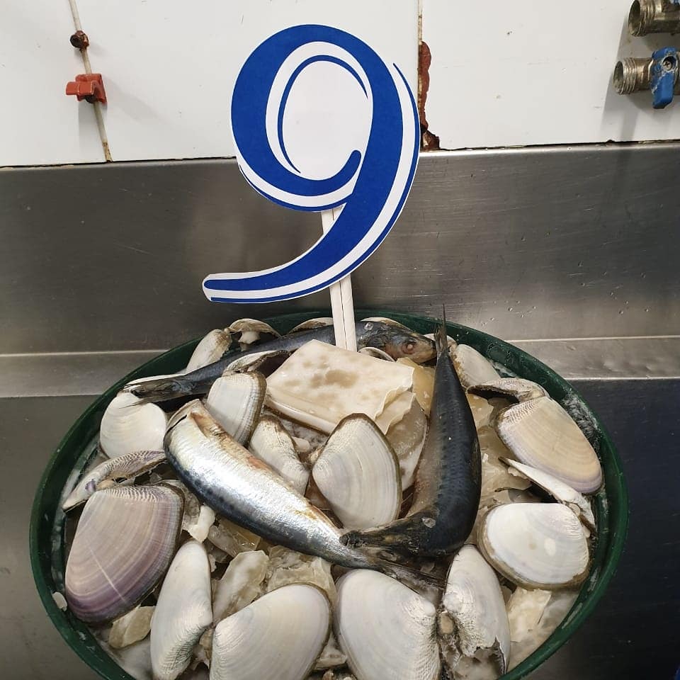 2OceansAquarium's tweet photo. Today was a special little someone's 9th birthday - Happy birthday Ayoba the African penguin! 🐧🎂🎉

#ayoba #birthday #penguin https://t.co/cpo8Bk2SNu