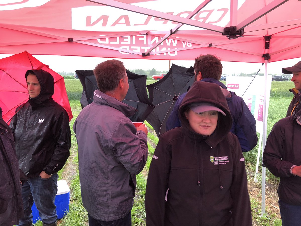 bdunhin's tweet photo. It’s going to be an interesting wet morning at the #Answerplot @WinFieldCanada. The site looks great though. @CavalierAgrow https://t.co/pE4Dh9uJHa