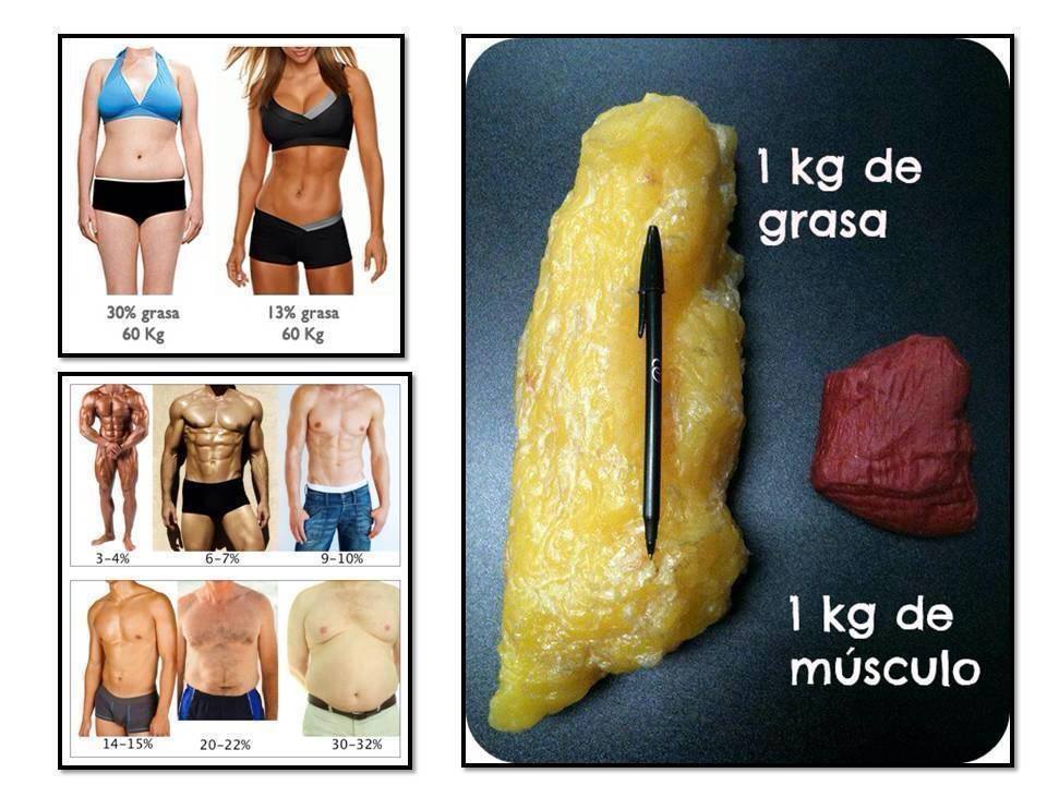 14 de grasa corporal mujer