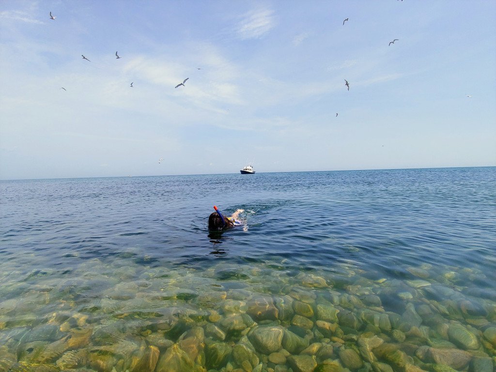 Secluded Cape Cod (@SecludedCapeCod) / Posts / X