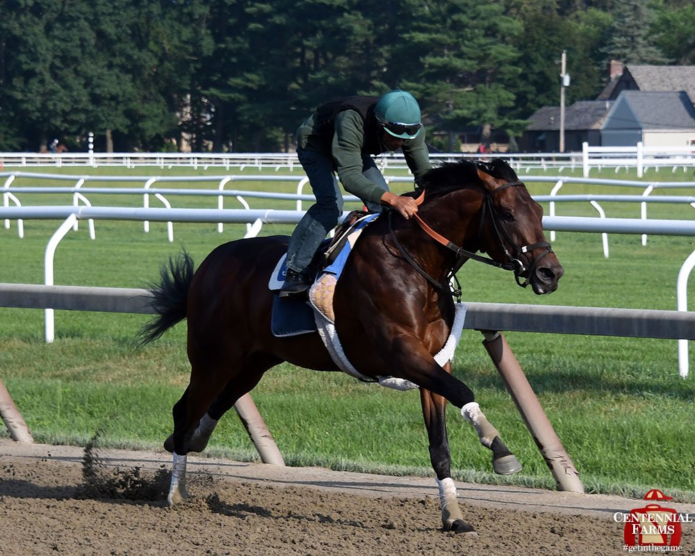 Centennial_Farm's tweet photo. Old school. Hands on. @J_JerkensRacing sent #mightyMihos  out for a 3-furlong blow out this morning as he gears up to try to pull off the upset in the G2 Jim Dandy! #Fingerscrossed for a big Saturday at #Saratoga. https://t.co/HdoQCBNEnw