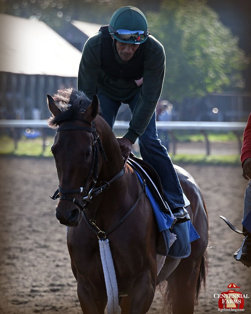 Centennial_Farm's tweet photo. Old school. Hands on. @J_JerkensRacing sent #mightyMihos  out for a 3-furlong blow out this morning as he gears up to try to pull off the upset in the G2 Jim Dandy! #Fingerscrossed for a big Saturday at #Saratoga. https://t.co/HdoQCBNEnw