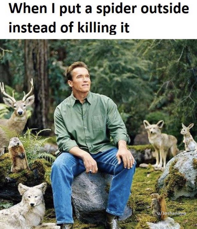 RespectfulMemes's tweet photo. https://t.co/zXN18NnAjG