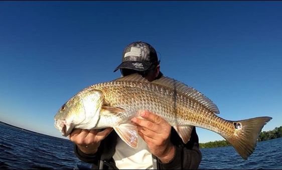 calcuttaoutdoor's tweet photo. Doesn't get more American than RED! #calcuttahat #calcuttaamericanflagcap #calcuttafishing #calcuttagear #fishinghat #fishingcap
📸Capt Johnny Nottingham https://t.co/PAY1kWlt8g