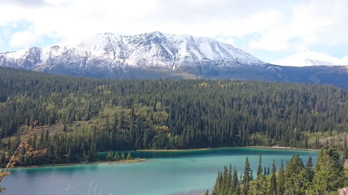 DaysInnCanada's tweet photo. This is Canada. Did you know that Emerald Lake gets its turquoise colouring from sunlight reflecting off limestone + calcium? 🇨🇦🏔️ https://t.co/6OUl7QuzF3