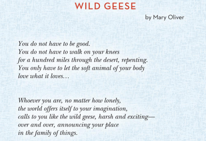 WalkTheTalk_com's tweet image. Your Daily Motivation - mailchi.mp/walkthetalk.co…