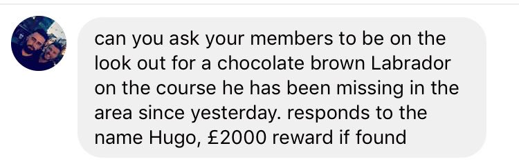 AoMGolfClub's tweet photo. Can everyone please be on the look out for a dog that’s gone missing. Chocolate Brown Labrador callee Hugo. Last seen yesterday in the local area! https://t.co/dLUy7YhFfr