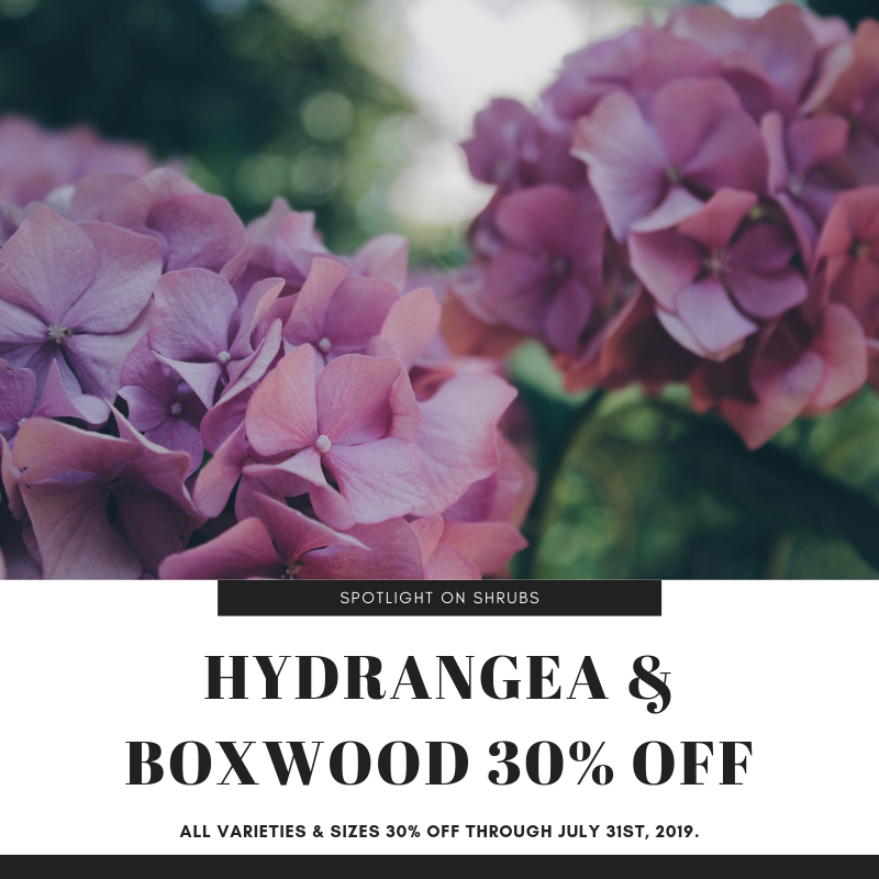 The Barn Nursery Barnnursery Twitter