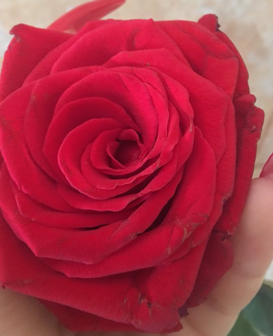 Lovely ❤️❤️ https://t.co/wWBaFTlo7H