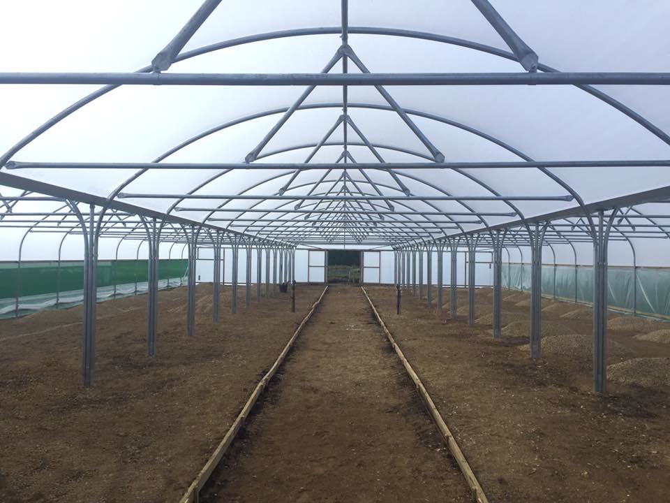 NatPolytunnels's tweet photo. All of our #polytunnels have been designed and manufactured in our factories in County Durham since 1982.
#horticulture #commercial #Multispans #madeinUK #bestofbritish https://t.co/J5ouun8M2B
