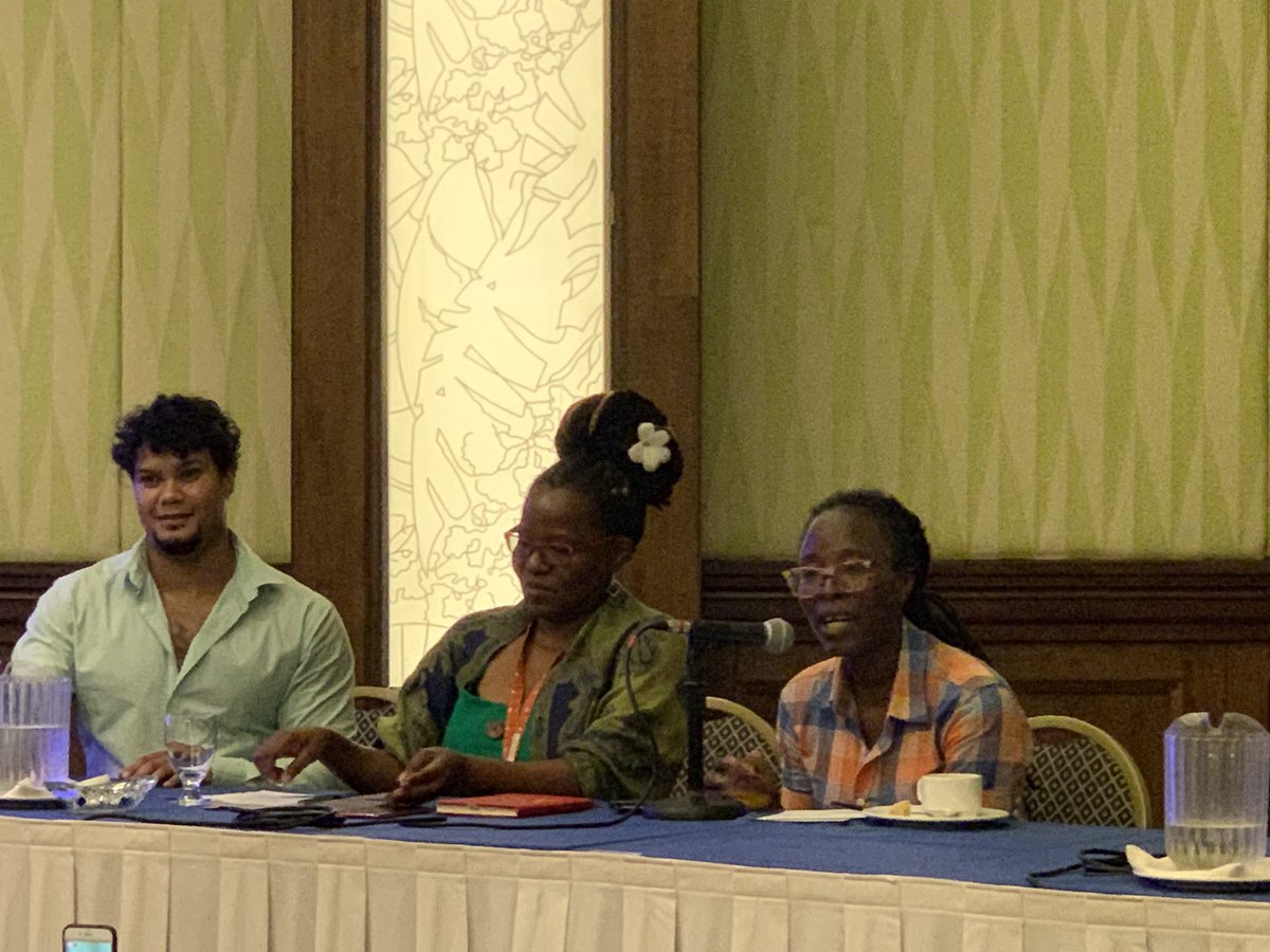 Cha_Minvielle's tweet photo. Hearing from @xeenarh from @TIERsNigeria #Nigeria on the importance of incremental approaches to #letigation. Step by step works #DecrimConvening #LGBT #LGBTrights 🏳️🌈 https://t.co/uD1VekclSd