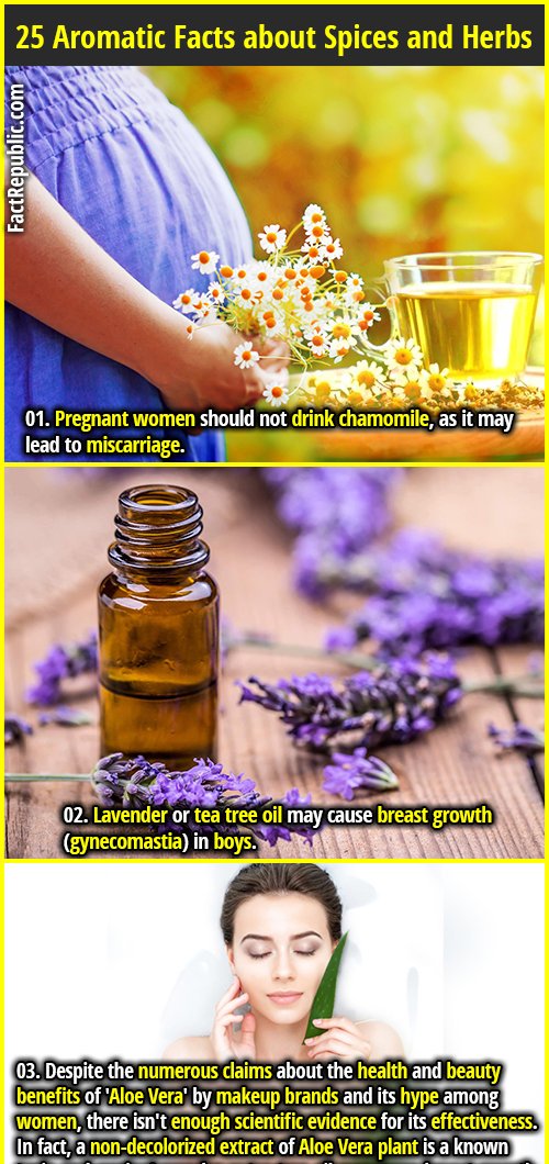 FactRepublic's tweet image. Check out our recent FR post

factrepublic.com/25-aromatic-fa…