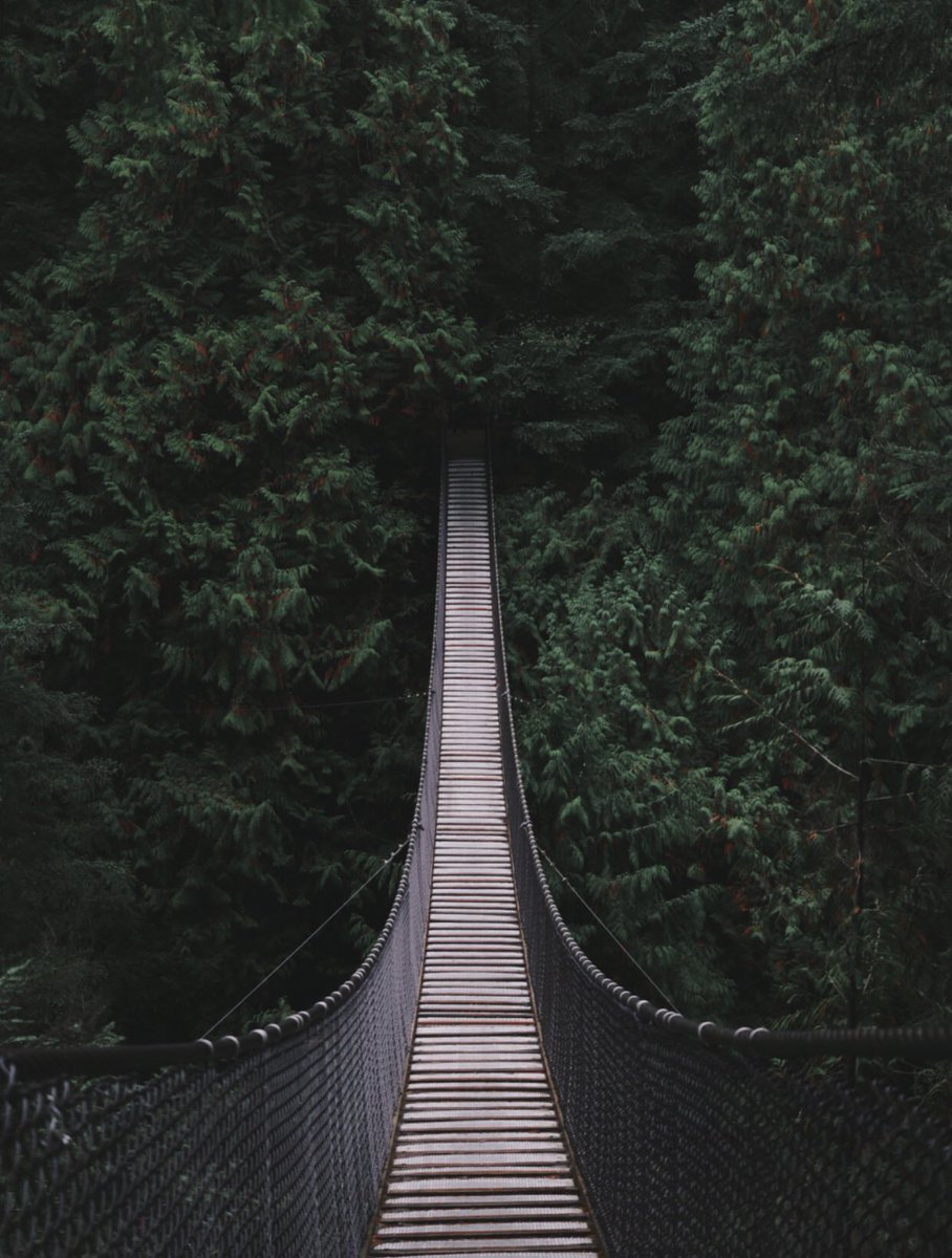 <a href="/blytheti/">Tina Blythe</a> <a href="/SheyaPZ/">Sheya</a> <a href="/ProjectZeroHGSE/">Project Zero</a> I love that metaphor! As teachers and learning coaches we have so many opportunities to serve as bridges instead of walls for our students, parents &amp; colleagues! #PZC2019 unsplash.com/photos/tABAti6…