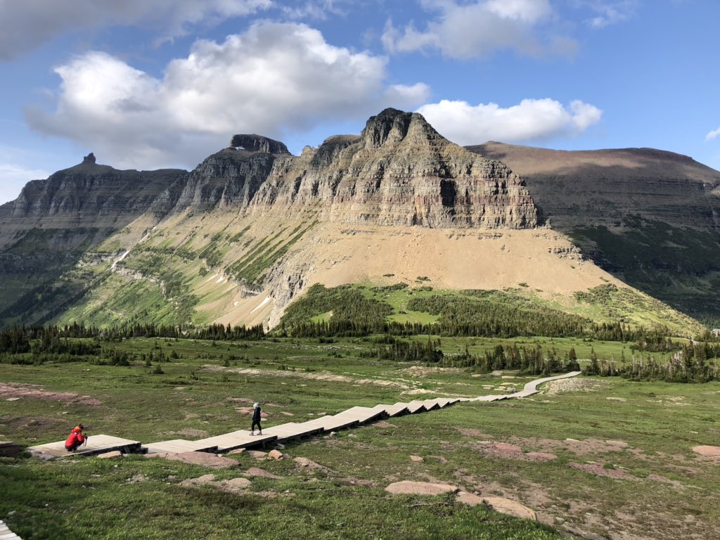 Savvy_GG tweet media