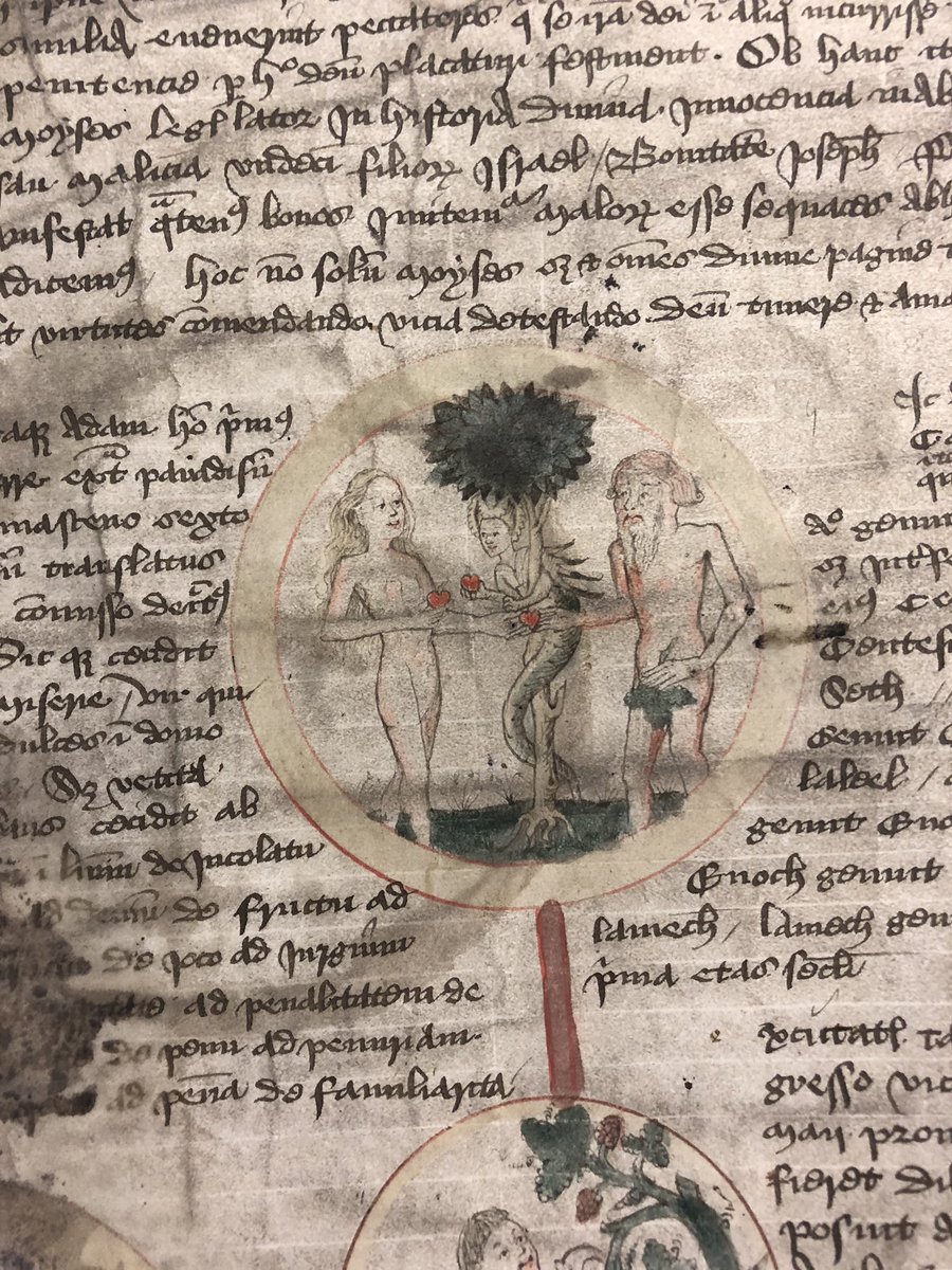 MadelaineSmart's tweet photo. Adam and Eve atop this mid-15th century Chronicle of the Kings of England. Those apples must be pink ladies, right?! @LivUniSCA #WritingHome19 https://t.co/cA3tB4gFXm