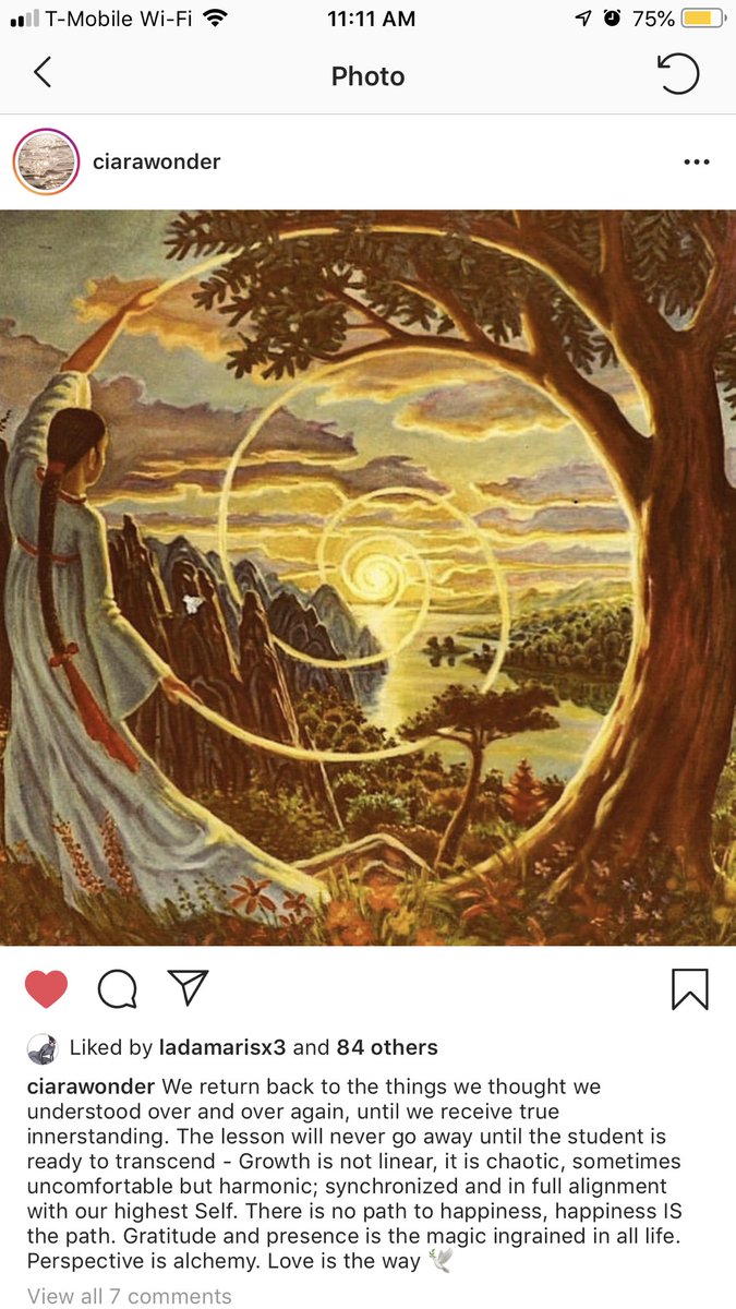 LunarLily7's tweet photo. “There is no path to happiness, happinesses IS the path. Gratitude and presence is the magic ingrained in all life. Perspective is alchemy. Love is the way.” Also peep how I took this picture at 11:11. 🙏🏽✨#DivineTiming #HiAngels #ThankYouForTheSign #ThankYouForTheMessage 💛 https://t.co/Sg3H3dO7ZB