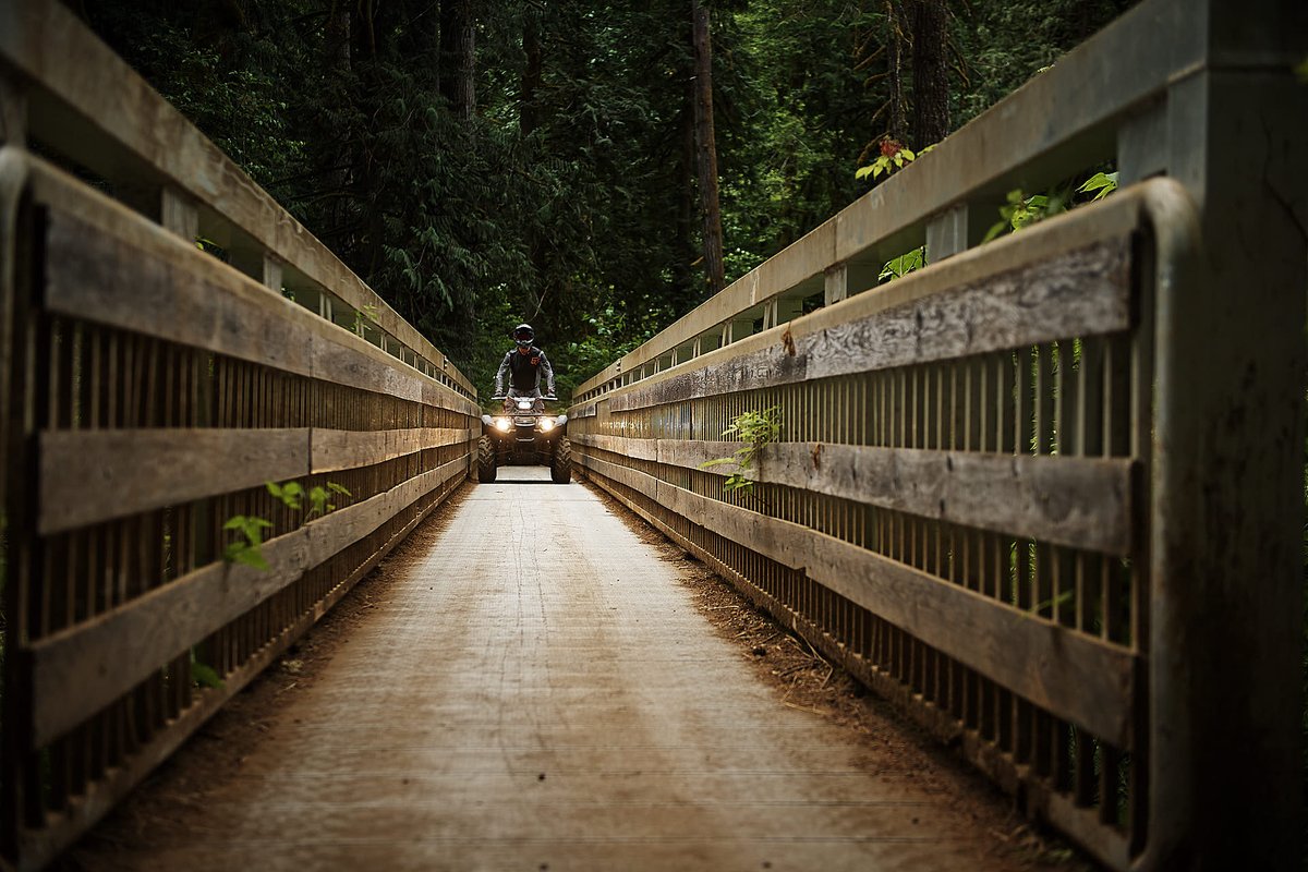 YamahaOutdoors's tweet photo. #ThrowbackThursday to our debut #Kodiak450 ride at #CapitolStateForest near #Olympia, #Washington. #AmazingTrails and #EpicViews to #REALizeYourAdventure on a compact, nimble, yet highly capable #ATV.
.
#ProvenOffRoad #AssembledInUSA #Yamaha #YamahaATV #YamahaKodiak #TBT https://t.co/H0HetD0gGx