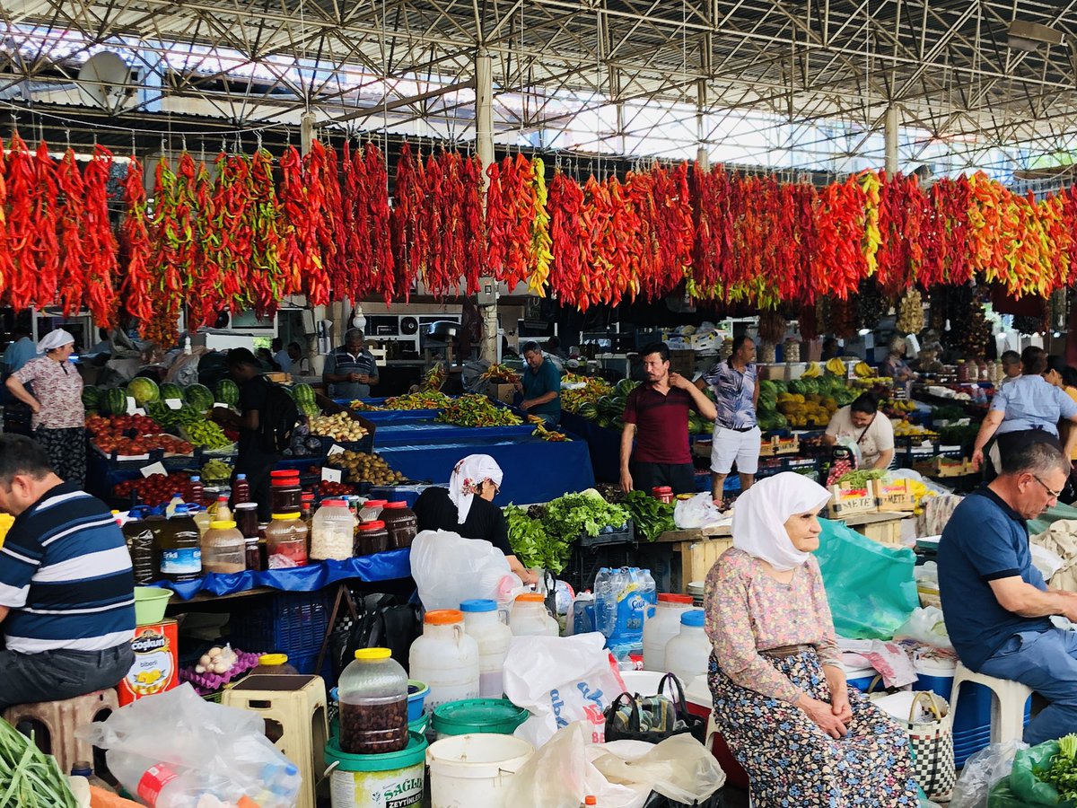 Ertug Ercin tweet media