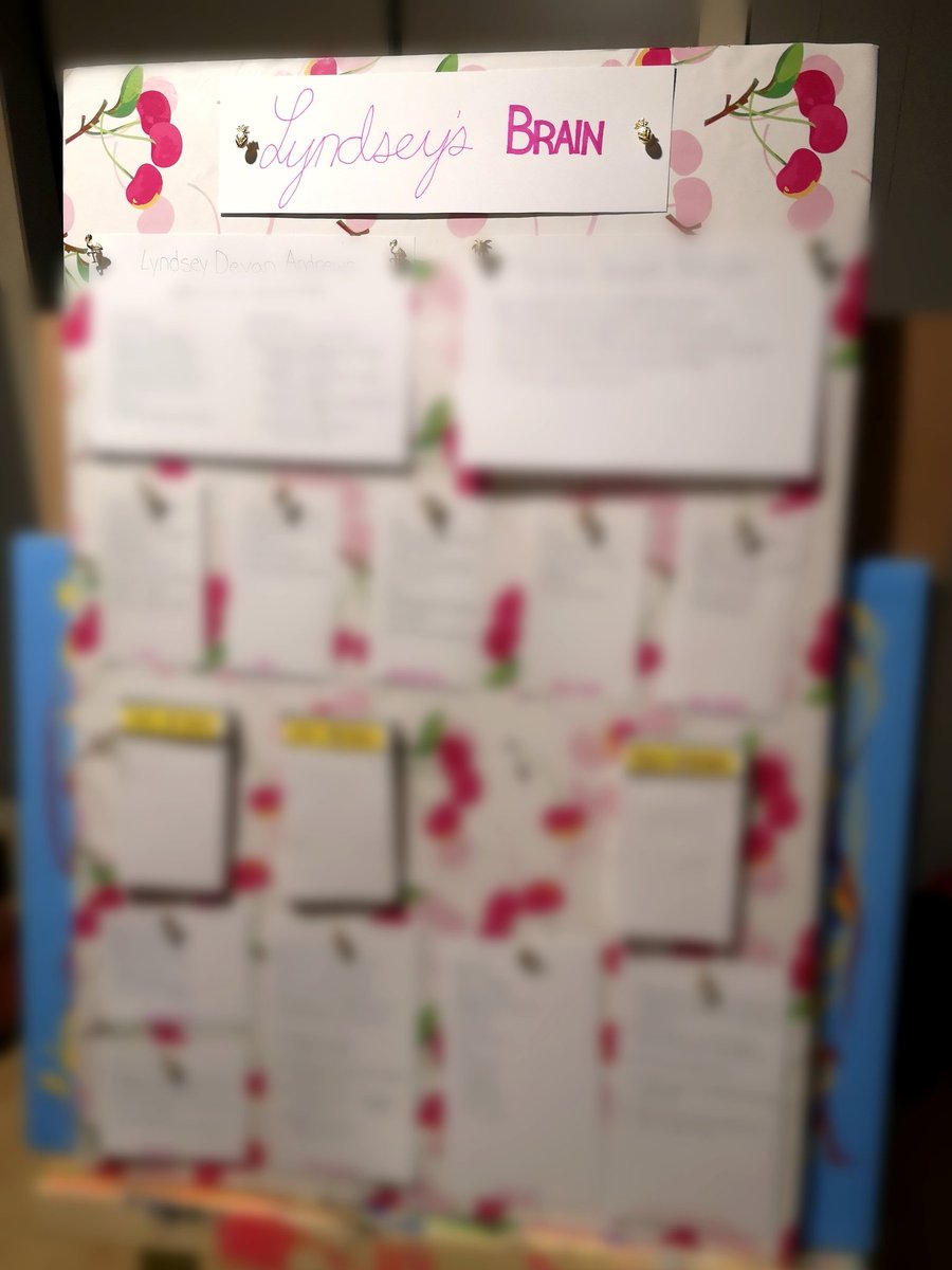 LyndseyLDA's tweet photo. How #LyndseysDay is organized - a #BrainBoard - tailored for me and made by me (with help from my husband - and it took about a week 😂)

 Without lists, nothing gets done! 😋

#memoryproblems https://t.co/AhnjfchlZ9