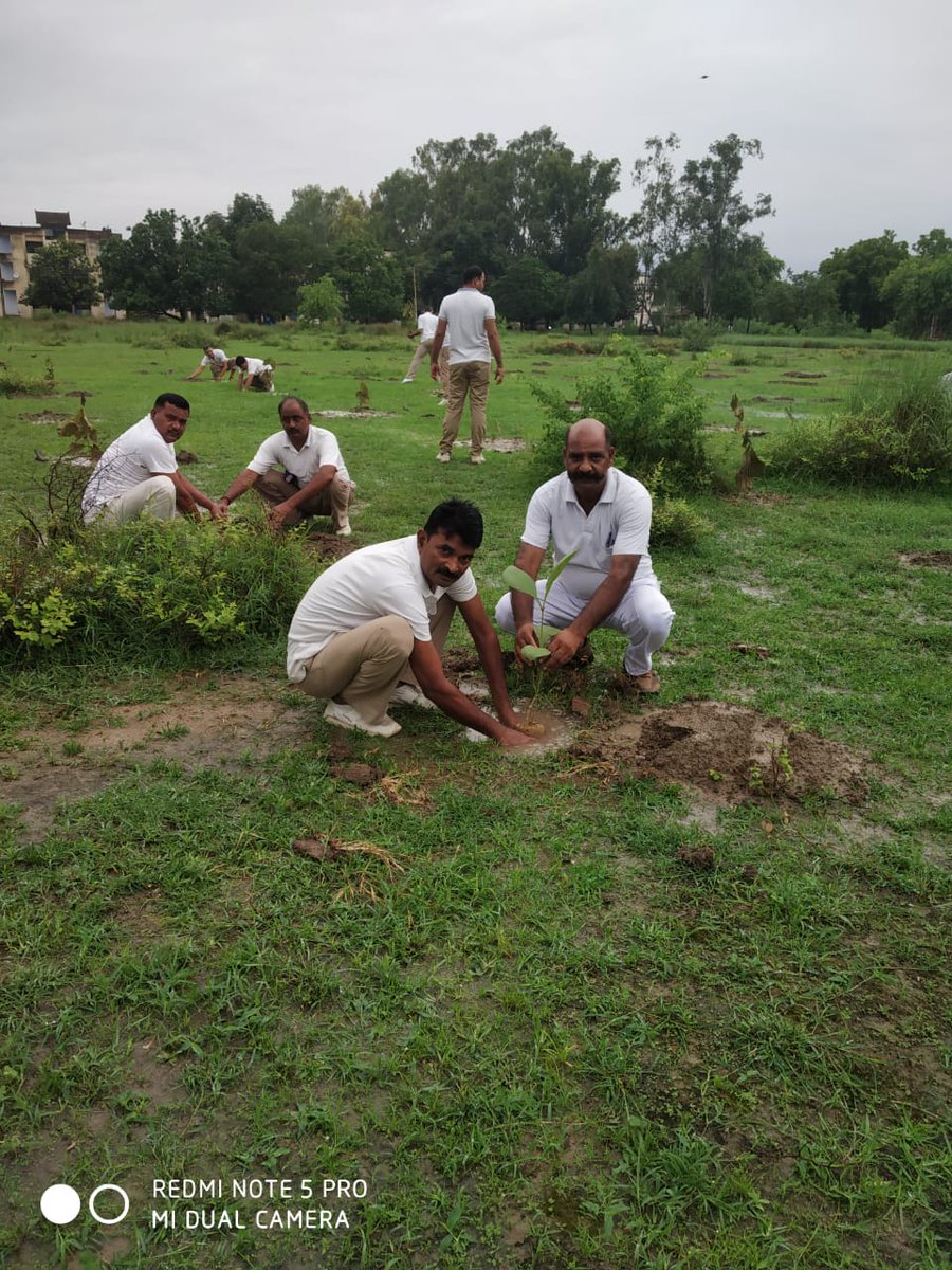 igpacezone tweet media