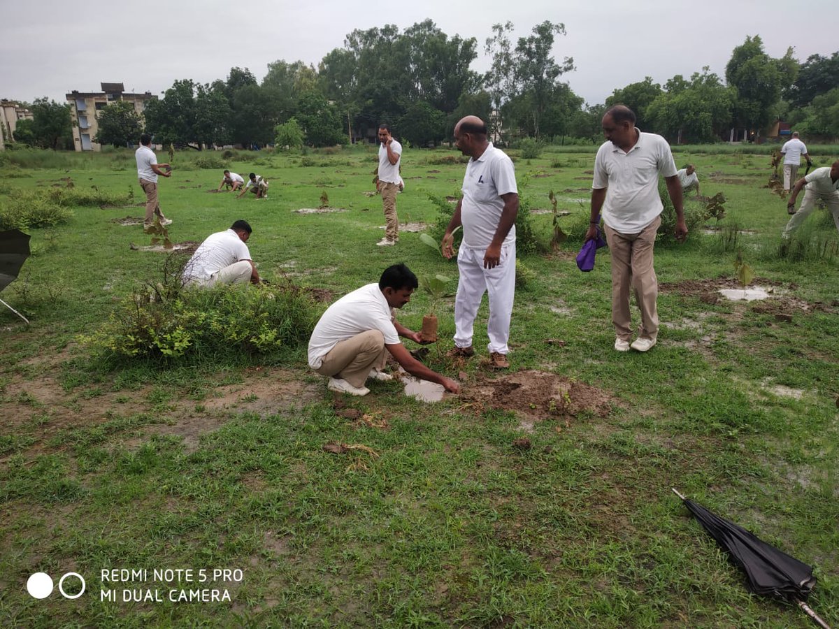 igpacezone tweet media