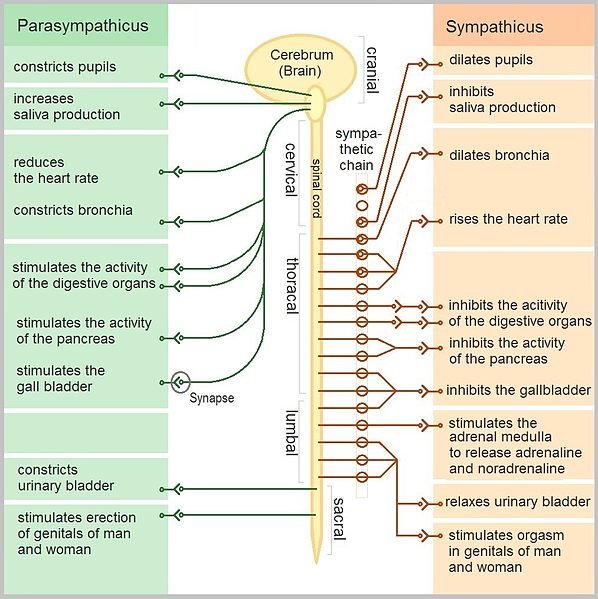 formchiro tweet picture