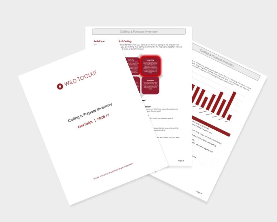 WiLDLeadersInc's tweet photo. After taking a tool in the WiLD Toolkit, you get to review a personalized feedback report pdf! It’s not only an amazing way to review where you are, but also a helpful way to share your own whole and intentional leader development with someone you trust. 
Email us to get started! https://t.co/dMvaFe0ka7