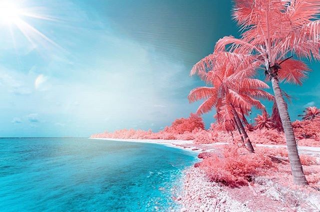 Just Posted New Infrared Art; ift.tt/2MfnYaj #CreativeIR #Infrared #Photography #InfraredPhotography