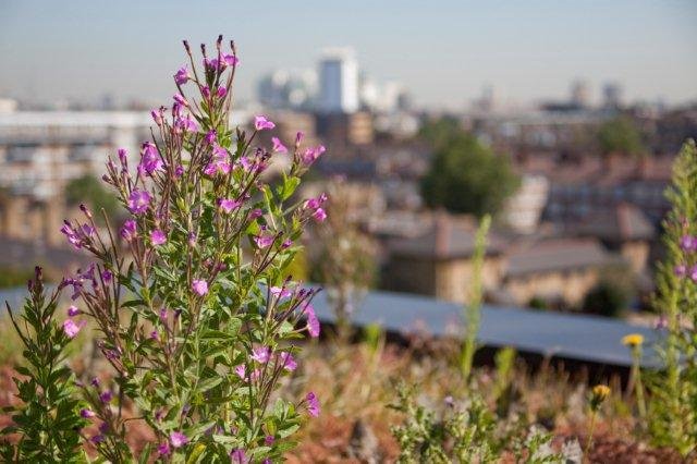 Bridget Bouch tweet media