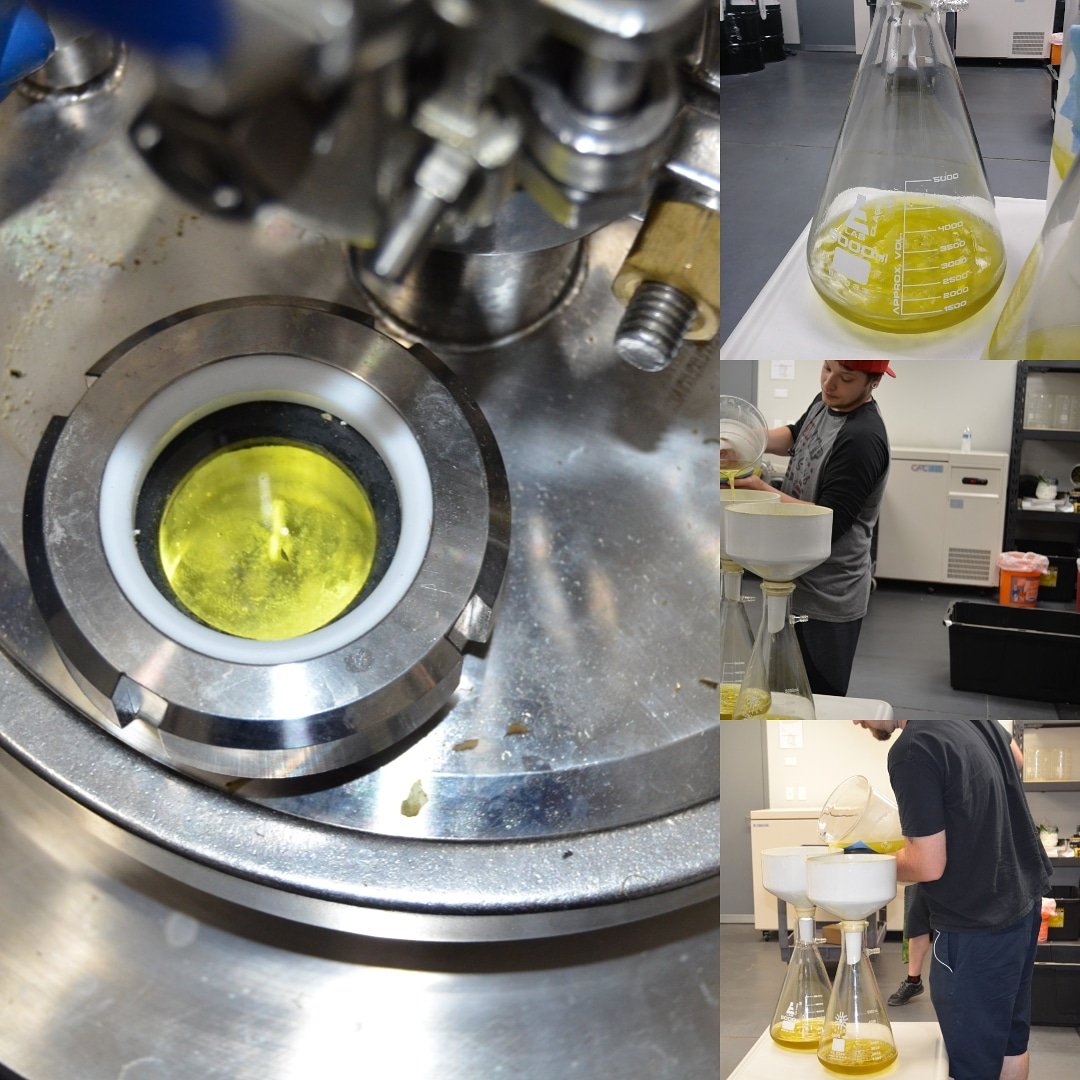 PureMagicGroup's tweet image. One day in the life of a Cannabis Oil 🍯 Extractor. 
#puremagicextracts #gotmagic #feelthemagic #tastethemagic #puremagicgroup #710community #710lifestyle #extracts #oil #distillate #bho #hydrocarbon #wax #concentrate #vape #washingtonweed #i502 #THC #CBD