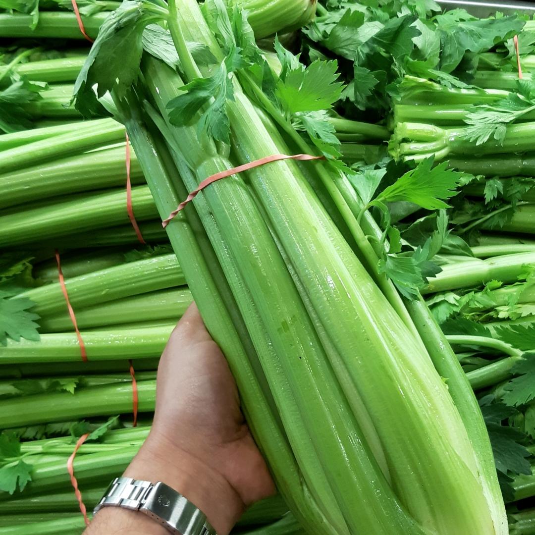 DutchiesMarket's tweet photo. LOCAL CELERY is in from Chips Produce, Bradford, Ont. and we’re confident you’ll LOVE these FRESH harvests! 😍 Celery is great in stews and soups, or perfect for dipping! Save up to $4.00 today on celery, NOW only $1.99 each!

#Kitchener #Waterloo #KWAwesome #Ontario #eatONlocal https://t.co/czvMuoh7tg