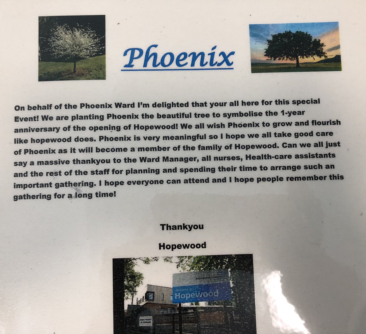 phoenixcamhs's tweet photo. As part of our 1st birthday celebrations we planted a Phoenix tree. This is the speech young people wrote and read at the planting ceremony🍁! #camhs #nottshc #phoenixtree https://t.co/XlUs8DtMDp