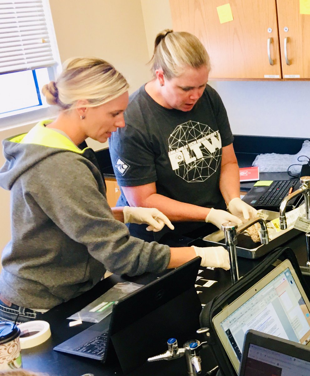 AprilMoonTX's tweet image. Future PLTW Biomedical Science teachers at #PLTWct19 in Frisco, Texas!!! #PLTWProud   #BrainDissections