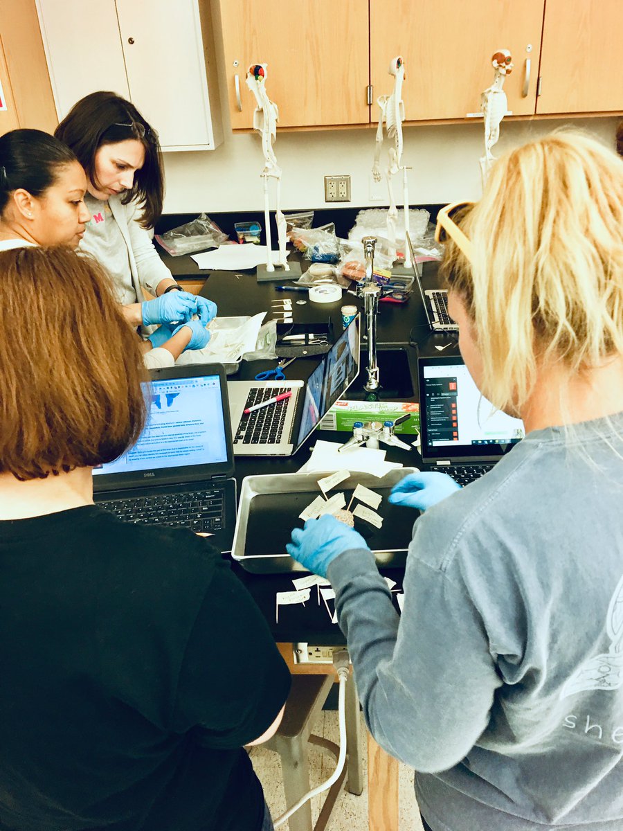 AprilMoonTX's tweet image. Future PLTW Biomedical Science teachers at #PLTWct19 in Frisco, Texas!!! #PLTWProud   #BrainDissections