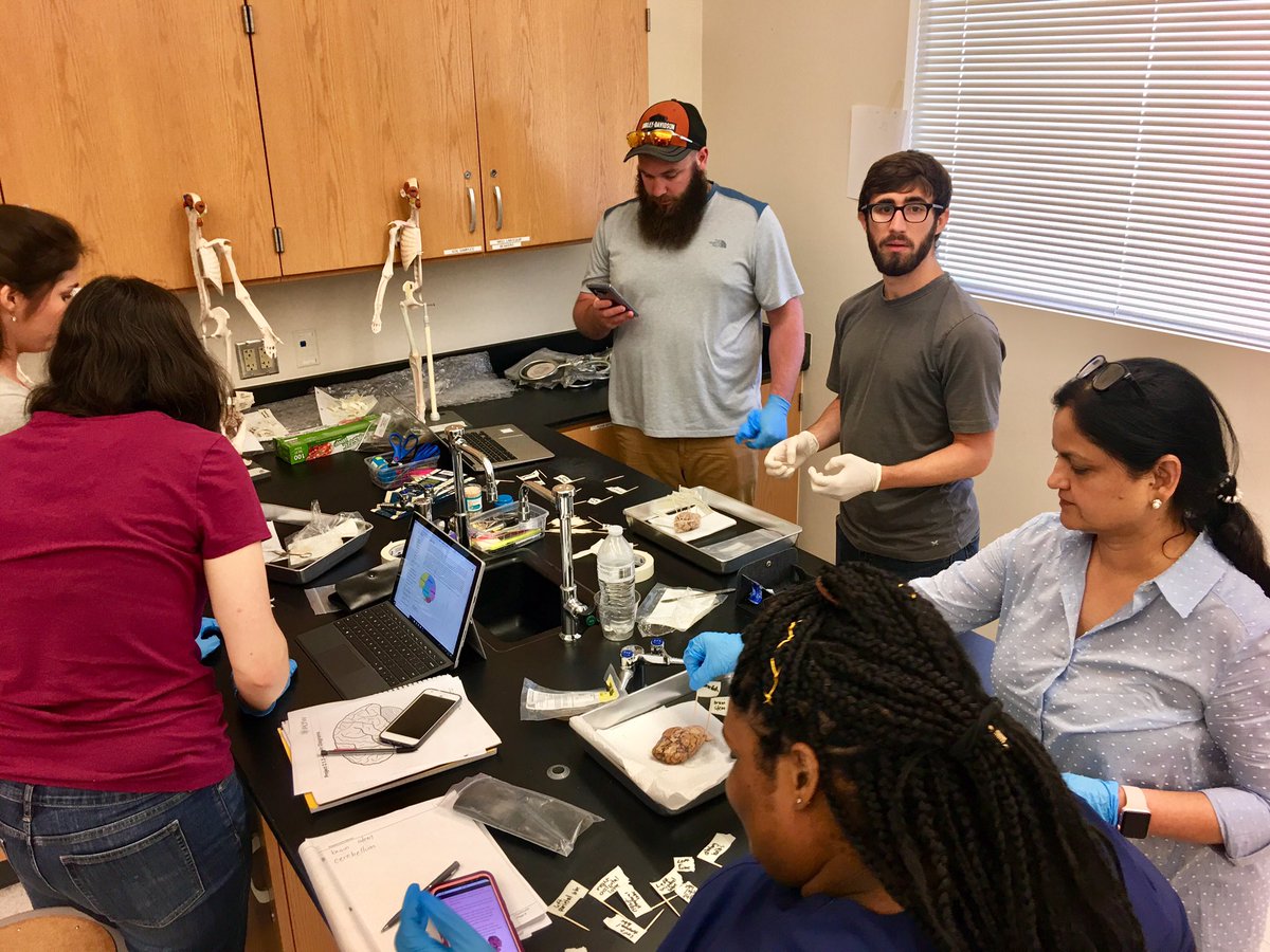 AprilMoonTX's tweet image. Future PLTW Biomedical Science teachers at #PLTWct19 in Frisco, Texas!!! #PLTWProud   #BrainDissections