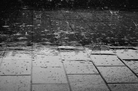 nancycc's tweet image. Thoughts on "Petrichor" as a baby name? I've seen it used only once so far, in Canada. Would you use it? #babynamesofthefuture #naturenames