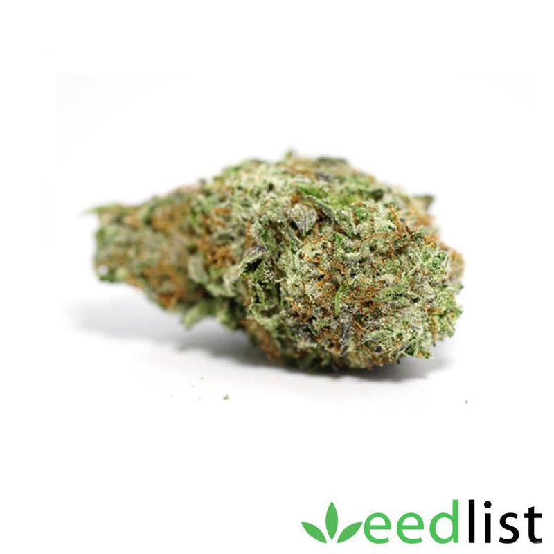 weedlistca's tweet photo. Blackwater is a potent indica that contains a genetics cross between Mendo Purps and San Fernando Valley OG Kush. https://t.co/5QMTMU8xhn #weedlist #weedlover #hemp #cbd #cannabis #marijuana #herb #canada #use #hybrid #sativa #indica #enjoy #healthy #life https://t.co/SgnMLzVd5t