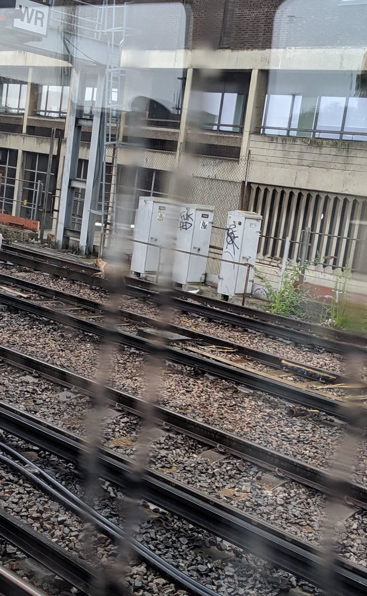 EAVuaMJWsAEAqSd?format=jpg&name=medium