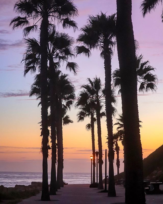 Day 205 • 2019 // An evening stroll at Royal Palms never gets old. ✌🏼💜 #harborarea #photography #jpcgrams
.
.
.
.
.
#southbay #southbaylife #southbayphotos  #oursouthbay #sanpedro #sanpedrotoday #southerncalifornia #la_p1x #wildcalifornia #losangeles… ift.tt/2yaUZvU