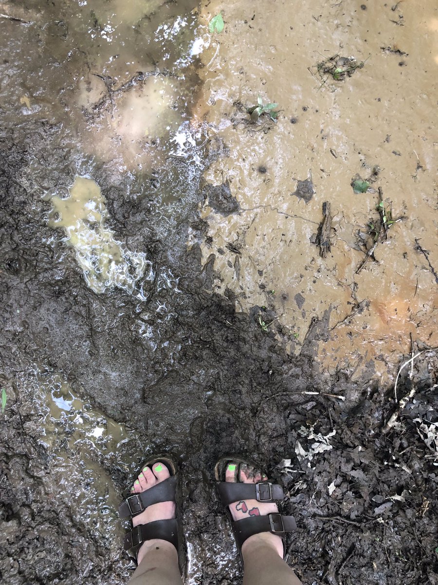 I wore my oldest pair of Birks recently 