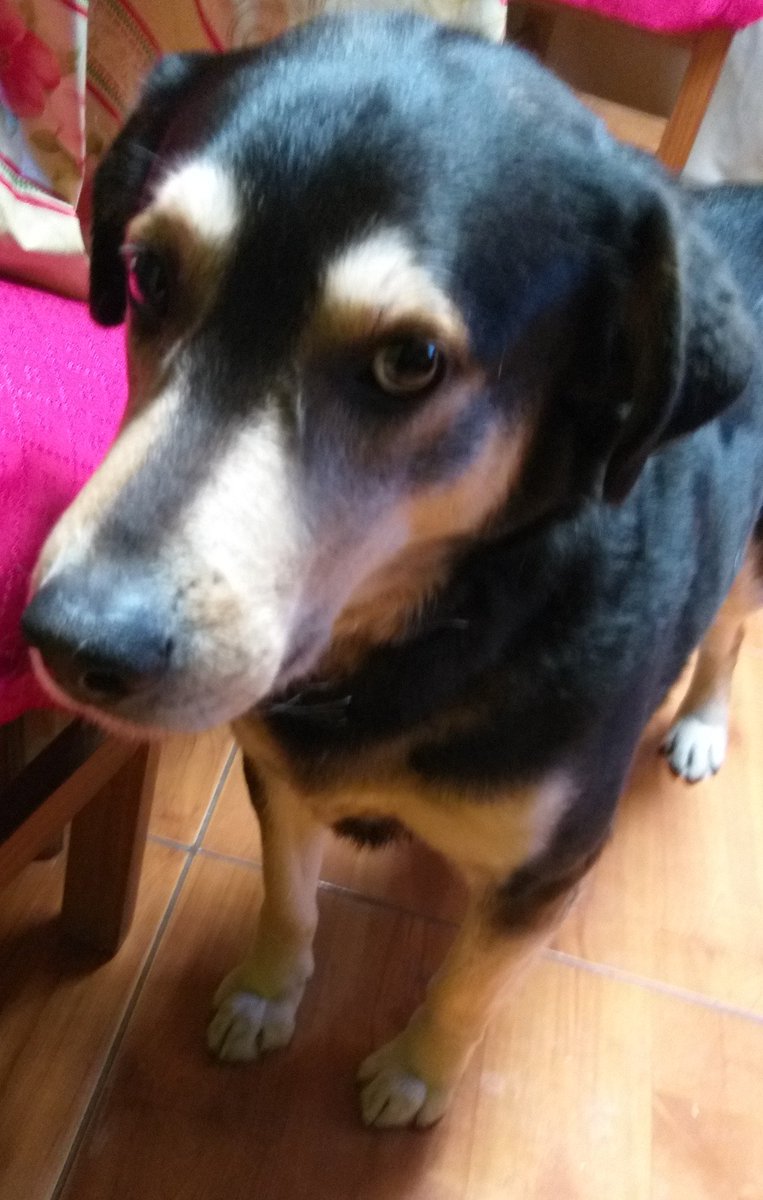 ElenaEscal's tweet photo. TU MIRADA TAN BELLA #MIAMADISIMOSAM, GRACIAS POR TU COMPAÑÍA https://t.co/pRowrs9ZH6