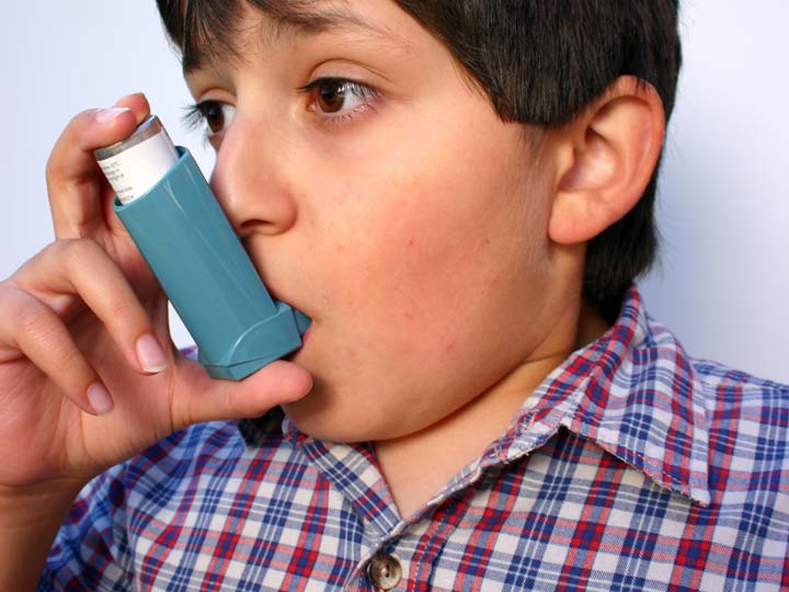 астма без. профилактика астмы. астма без.